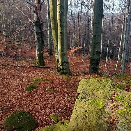 Apartament Zielony Daire