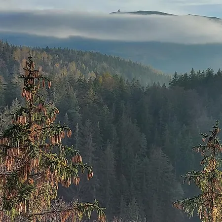 Apartament Zielony *