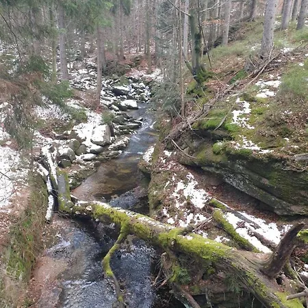 Daire Apartament Zielony *