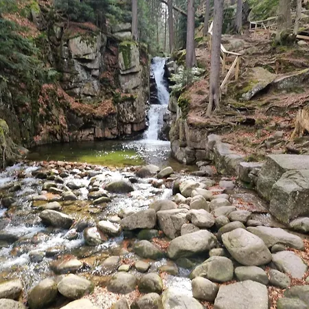 Apartment Apartament Zielony *