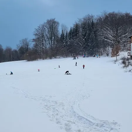 Apartament Zielony Apartment