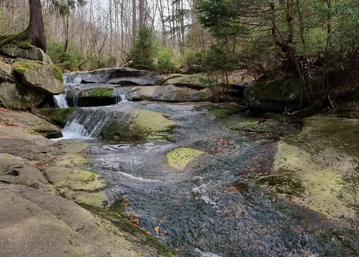 Apartament Zielony *